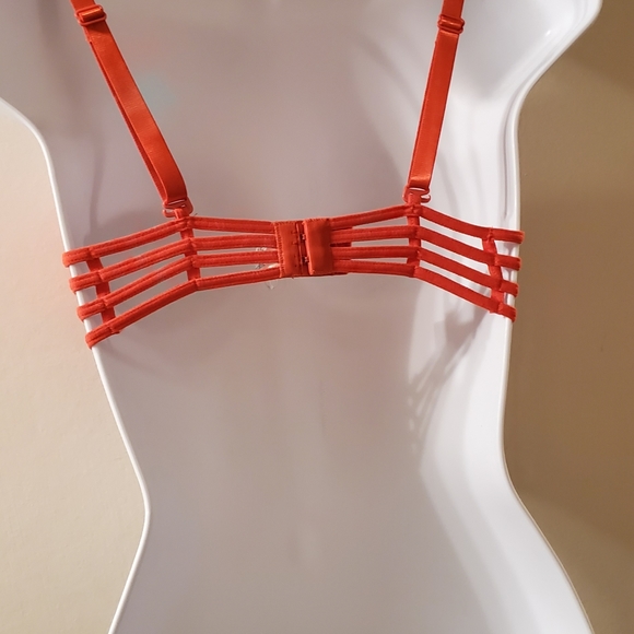 Native  Itimates - Picture 4 of 7